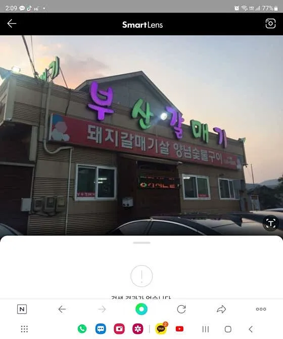 부산갈매기