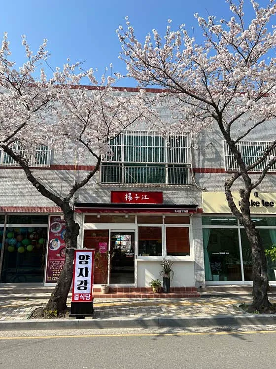 양자강