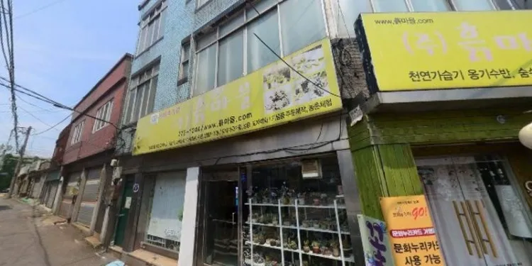 목포손칼국수