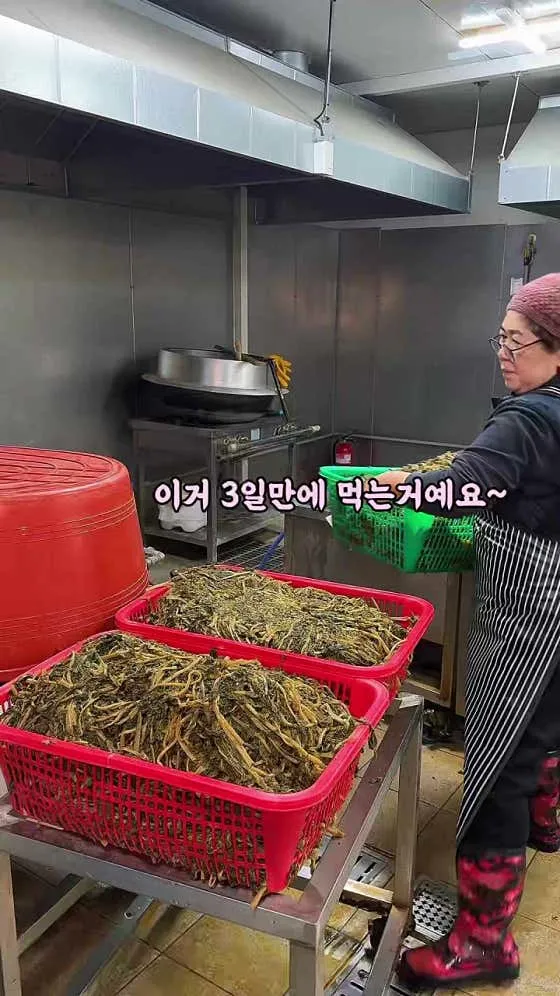 전원집