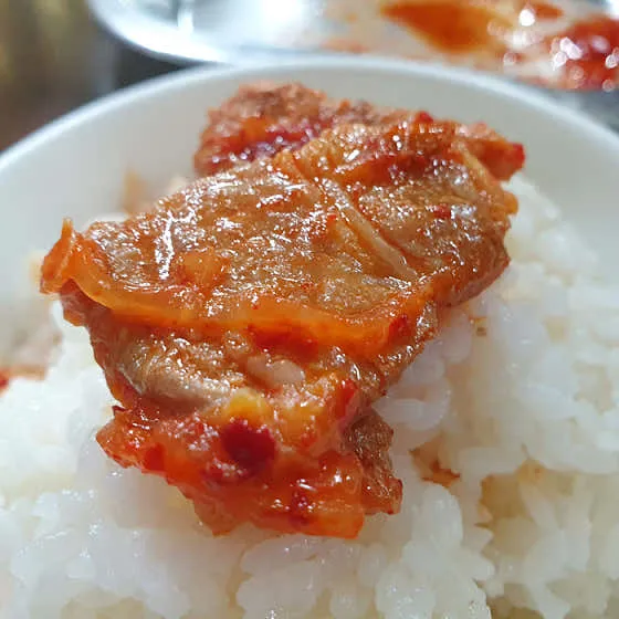 대원정