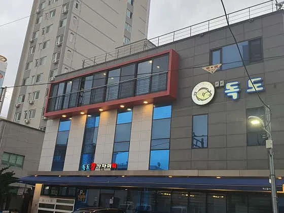 독도참가자미