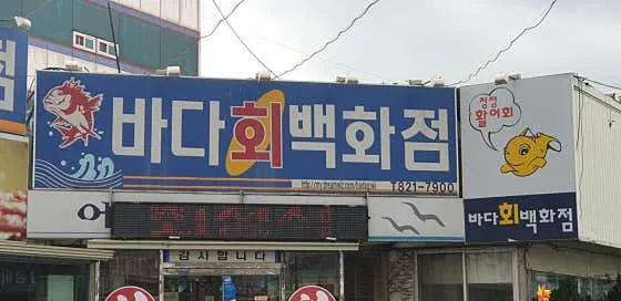 바다회백화점