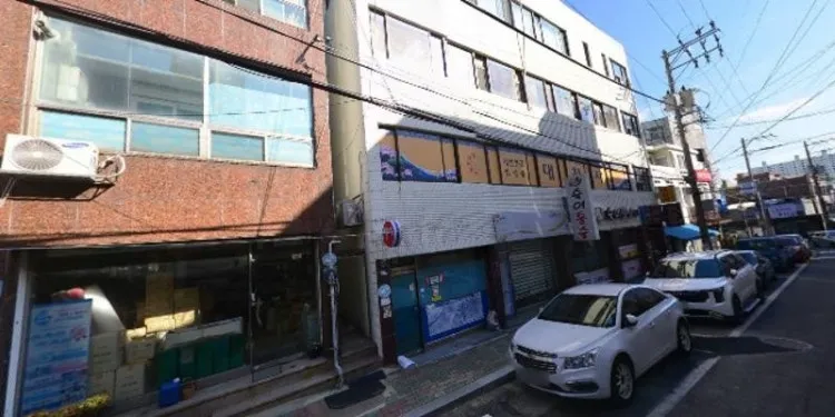 벌떼실비