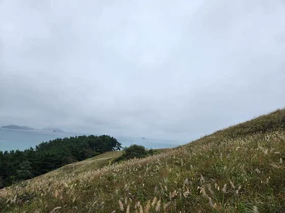 백마식당