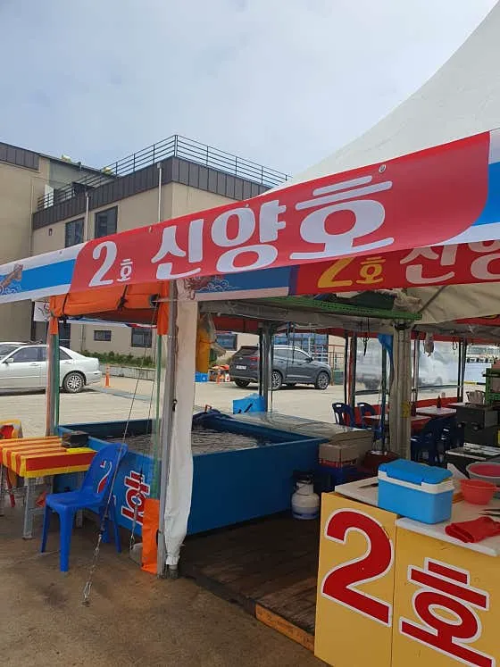 오징어난전신양호2호