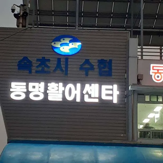 속초시수협동명활어센터