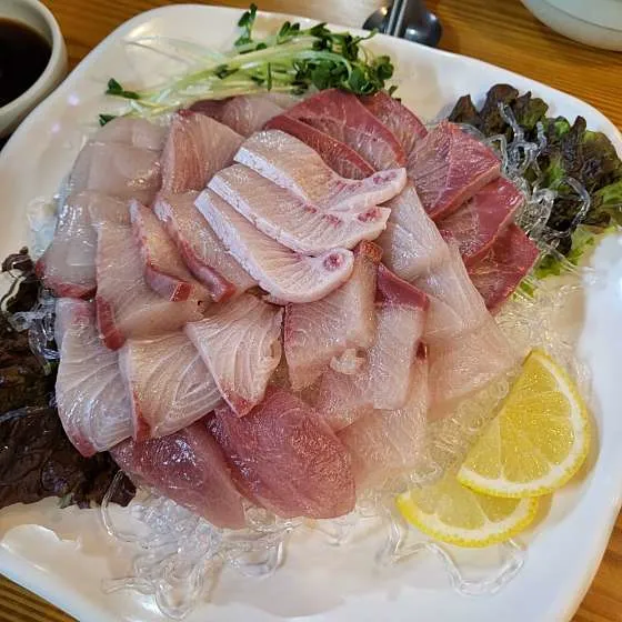 오징어세상