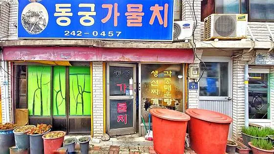 동궁가물치