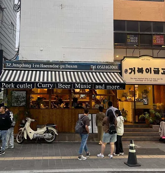 거북이금고