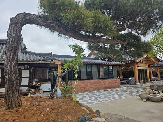 새집