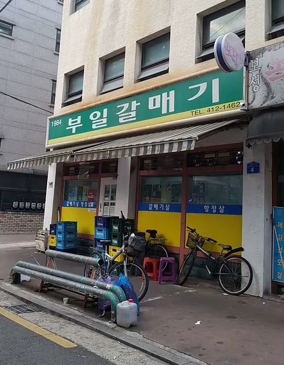 부일갈매기
